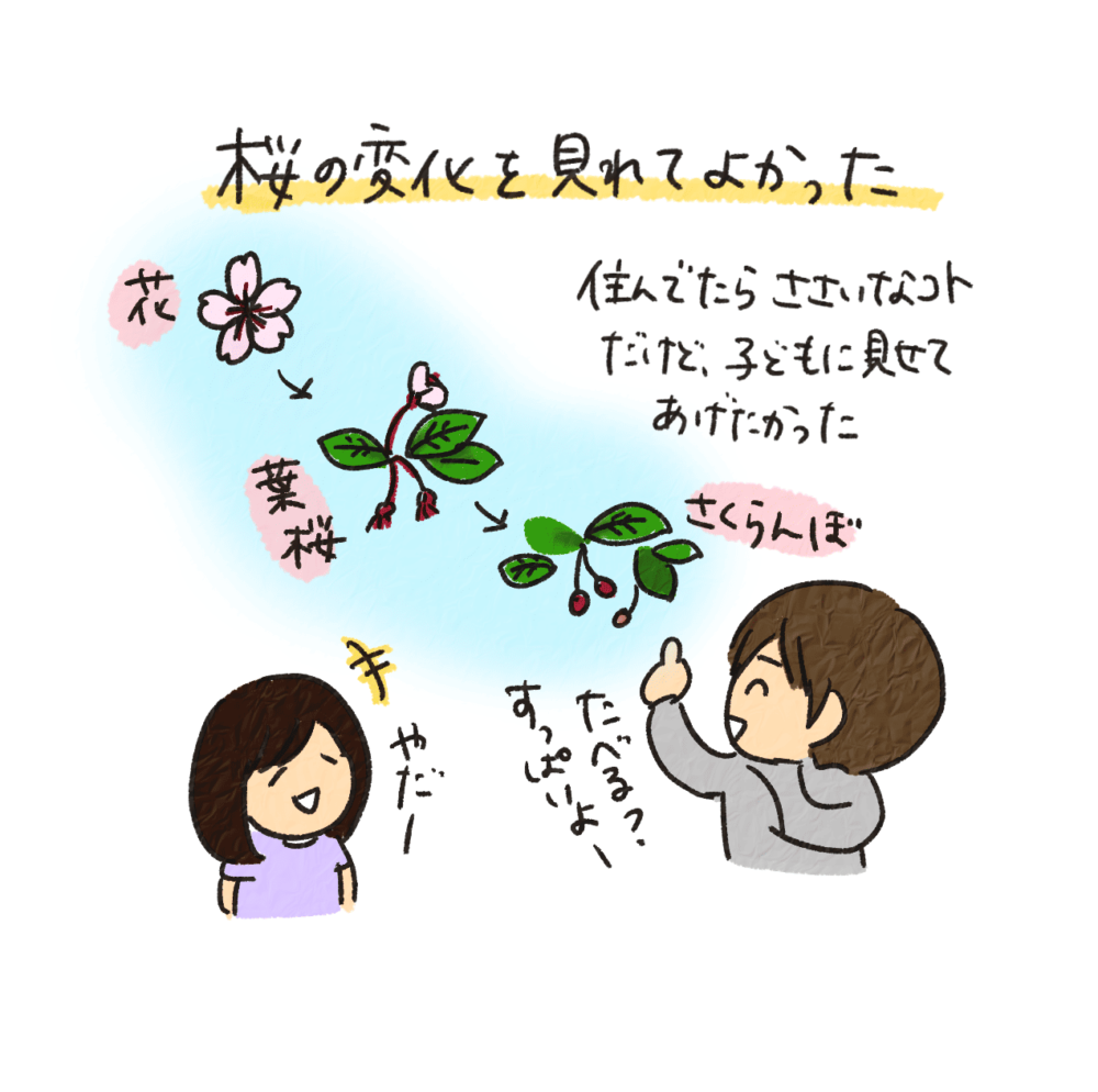 日本の春 一時帰国