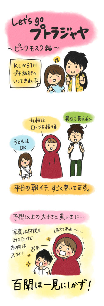 ピンクモスク マレーシア