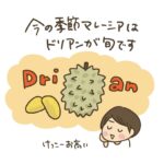 マレーシア　ドリアン
