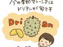 マレーシア　ドリアン